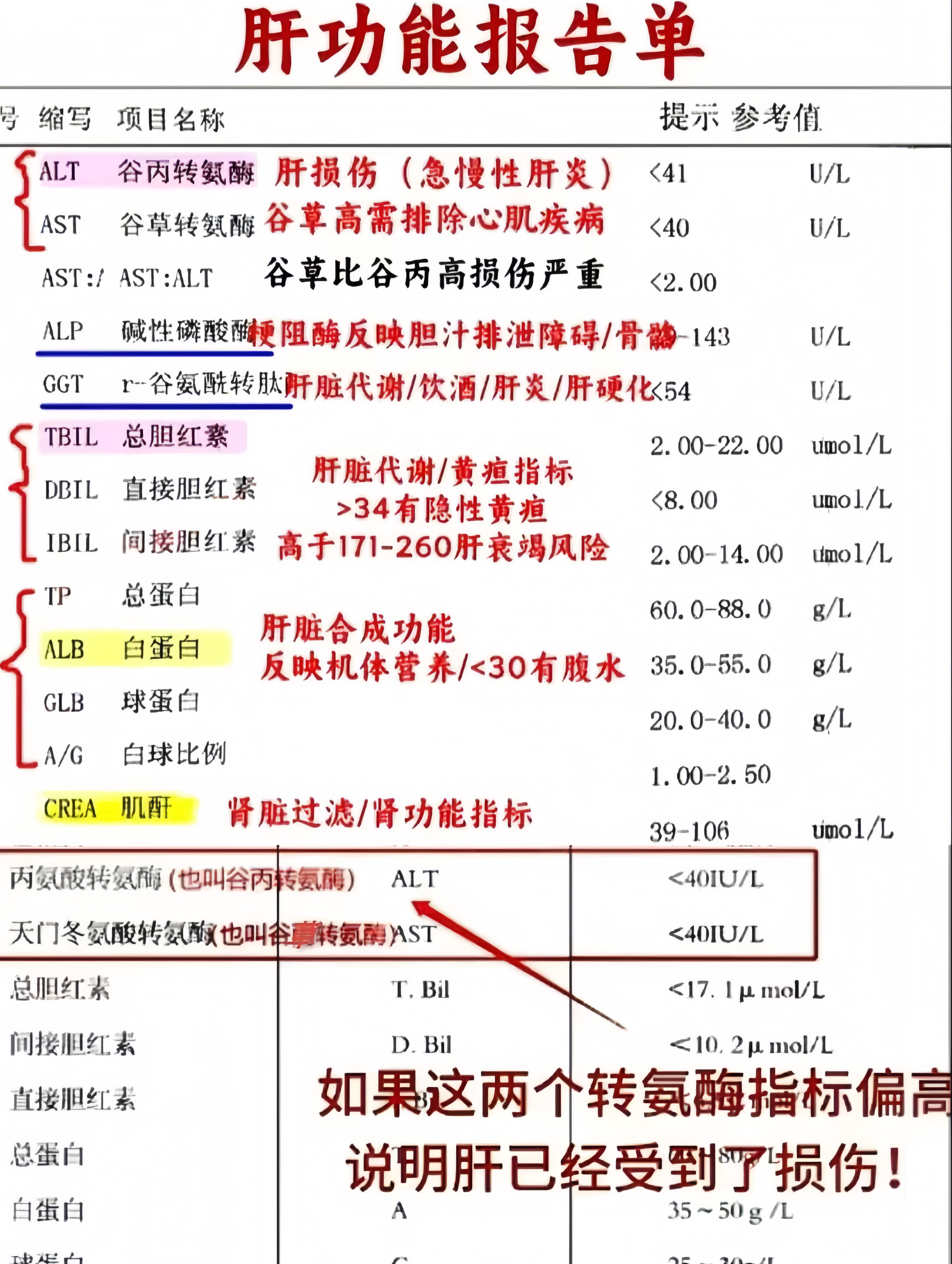 转氨酶高的症状,有哪些