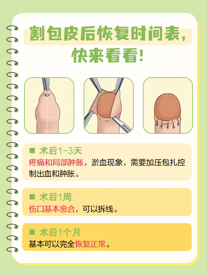 包皮手术后要休息多长时间