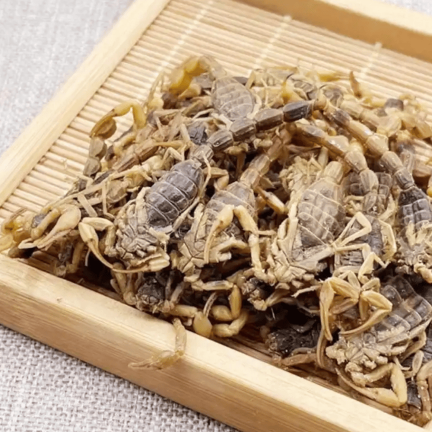活蝎子泡在白酒里能喝吗