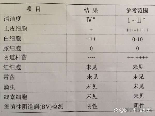 费倩语 第2页