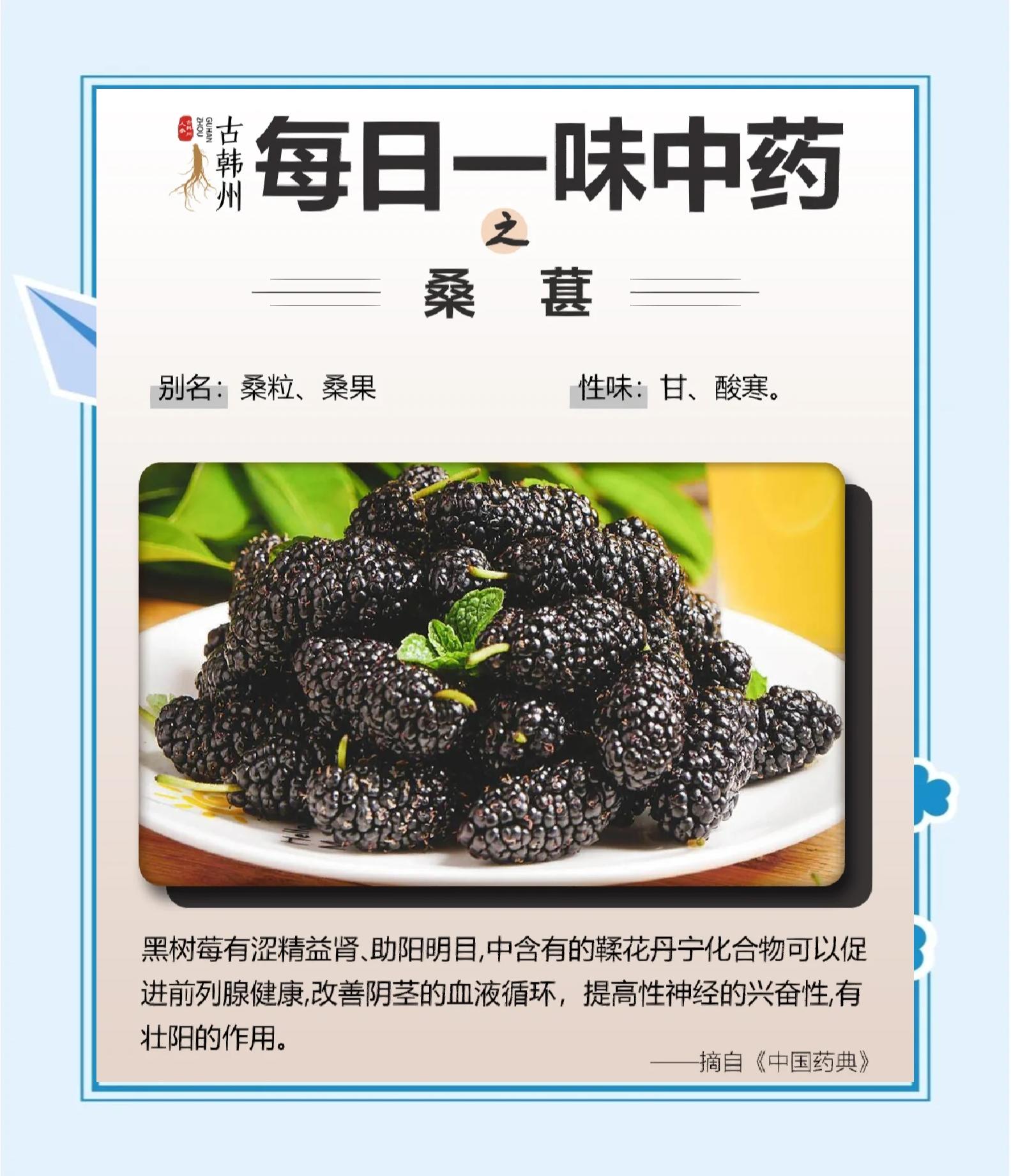 桑椹的药效