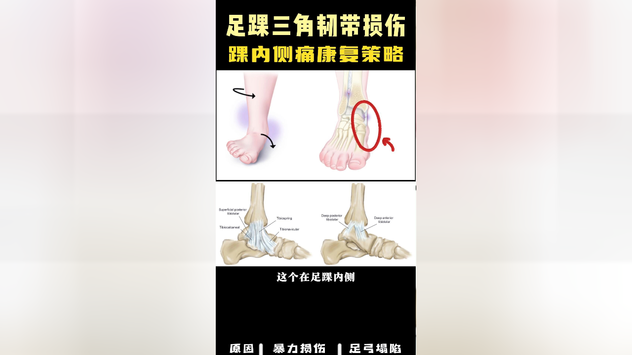 桥心远 第2页