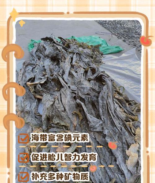 孕妇能吃海带吗