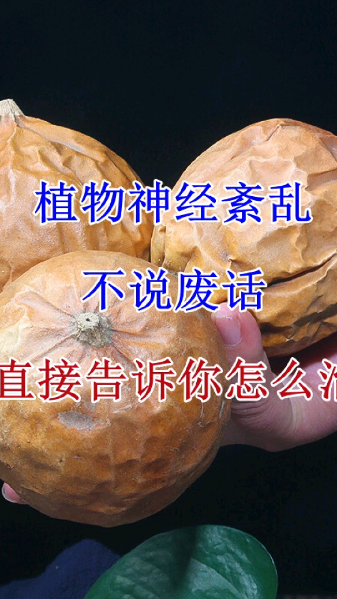 植物神经紊乱偏方