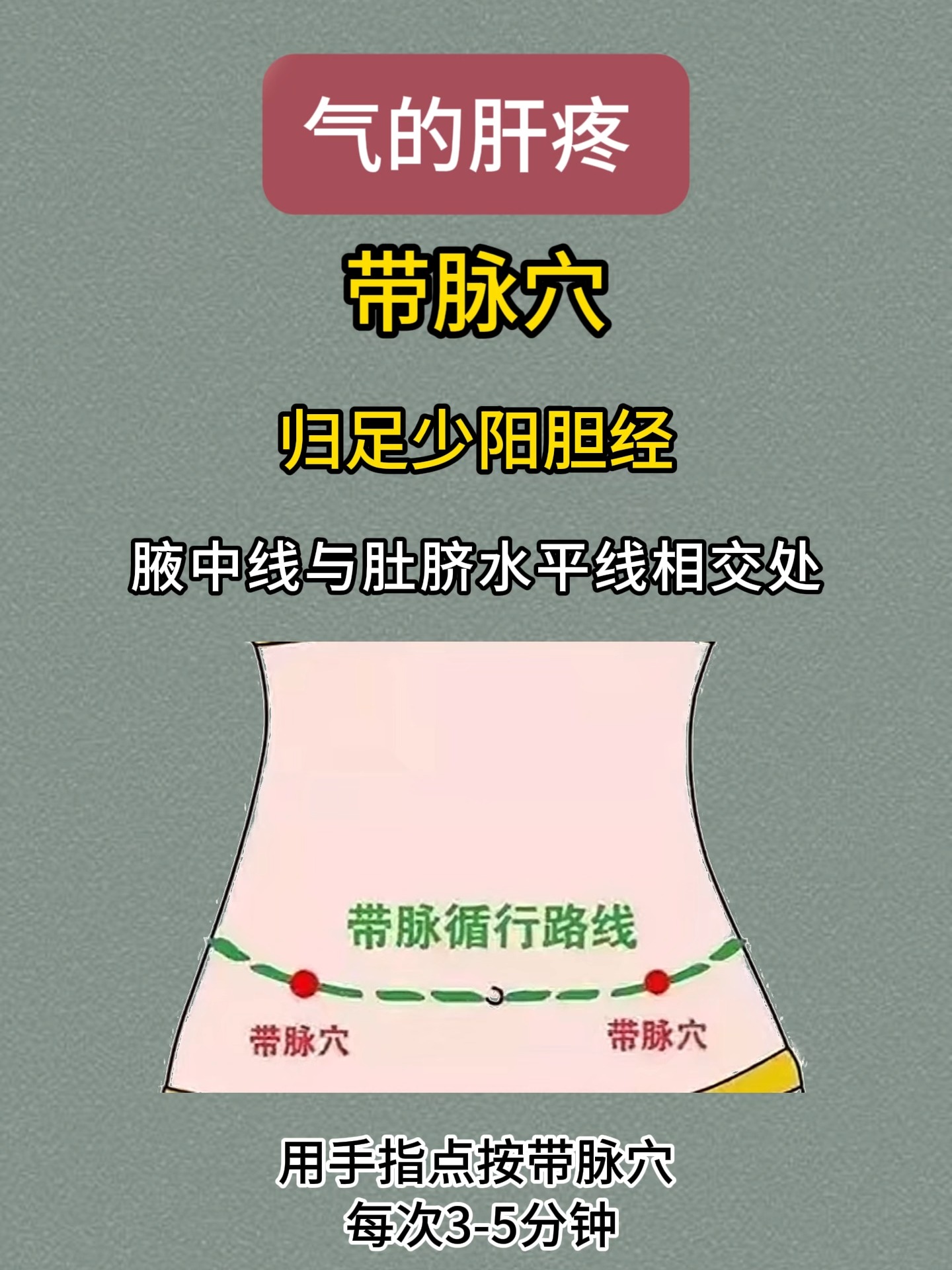 代脉在身体的哪各部位