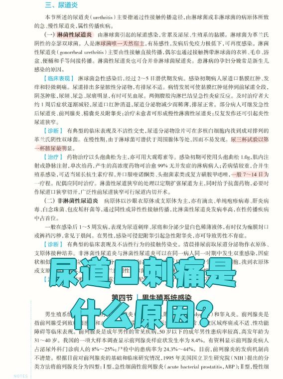 尿道口刺痛什么原因