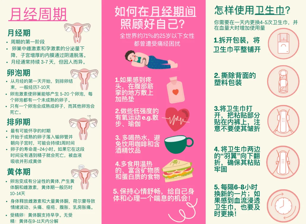 月经是怎么形成的