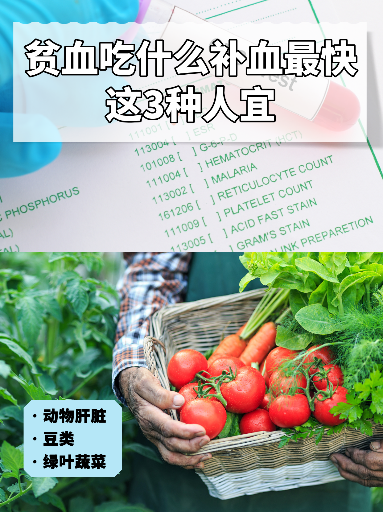 贫血该吃什么补血
