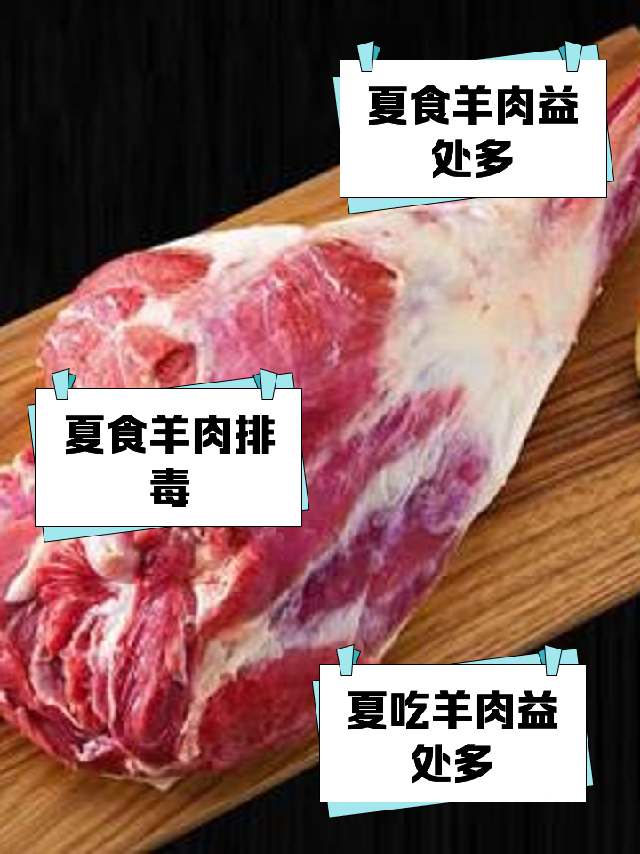 孕期能吃羊肉吗
