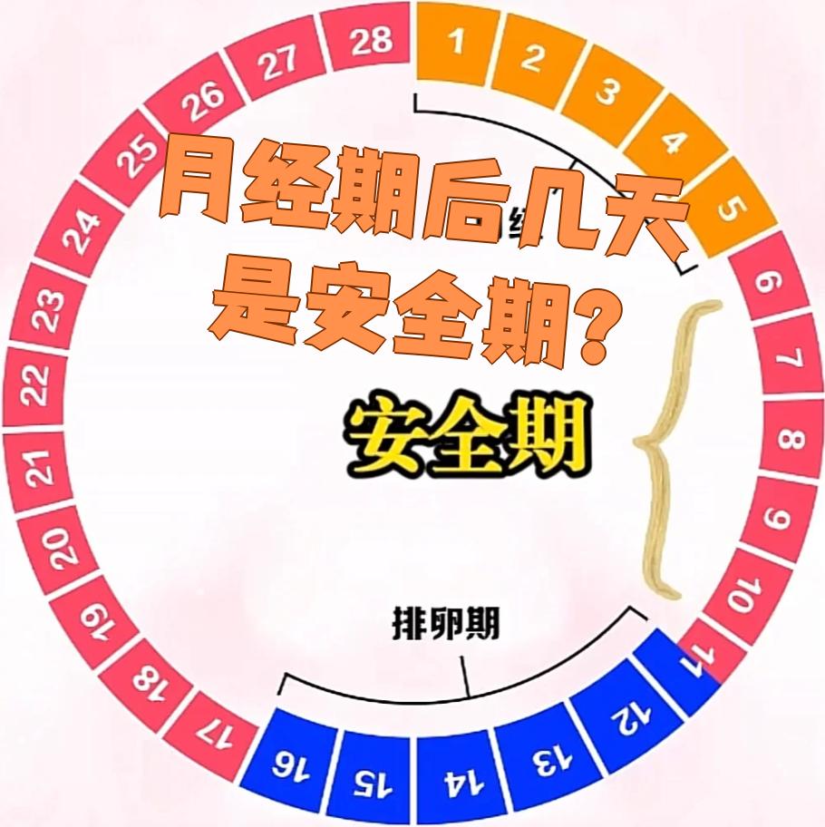 女性生理周期