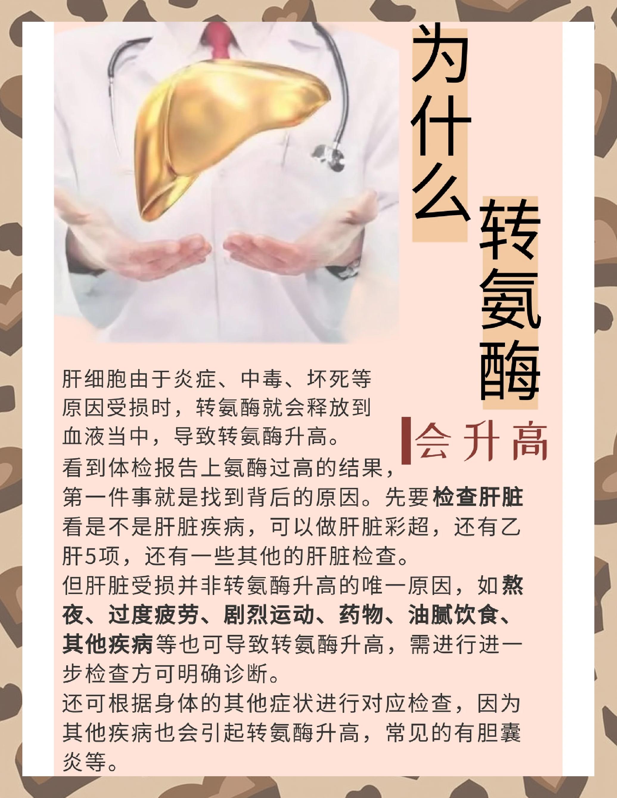 谷草转氨酶指的是什么