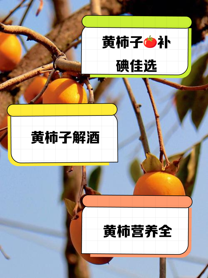 感冒可以吃柿子吗?