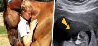 蹭一蹭没有进去会怀孕吗?