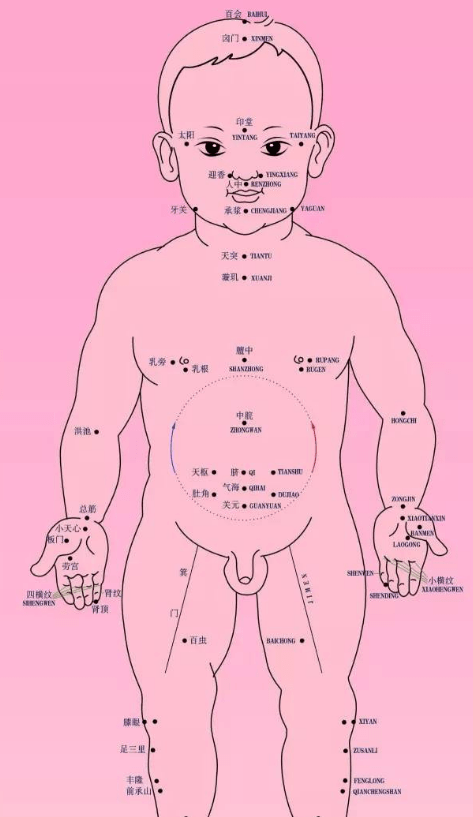 肚脐正下方是什么器官