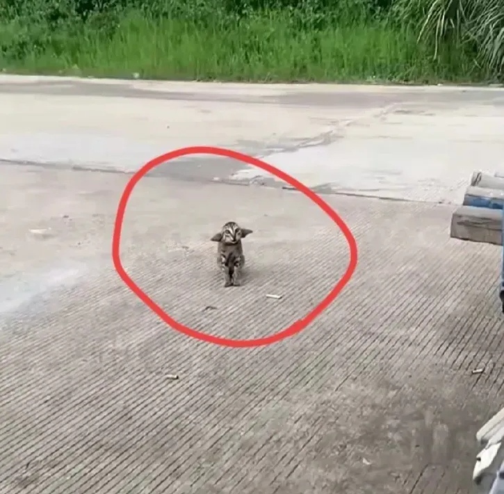 w我这种情况是正常吗