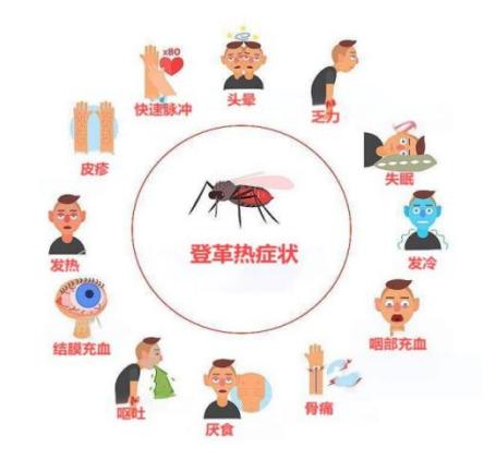 登革热的治疗