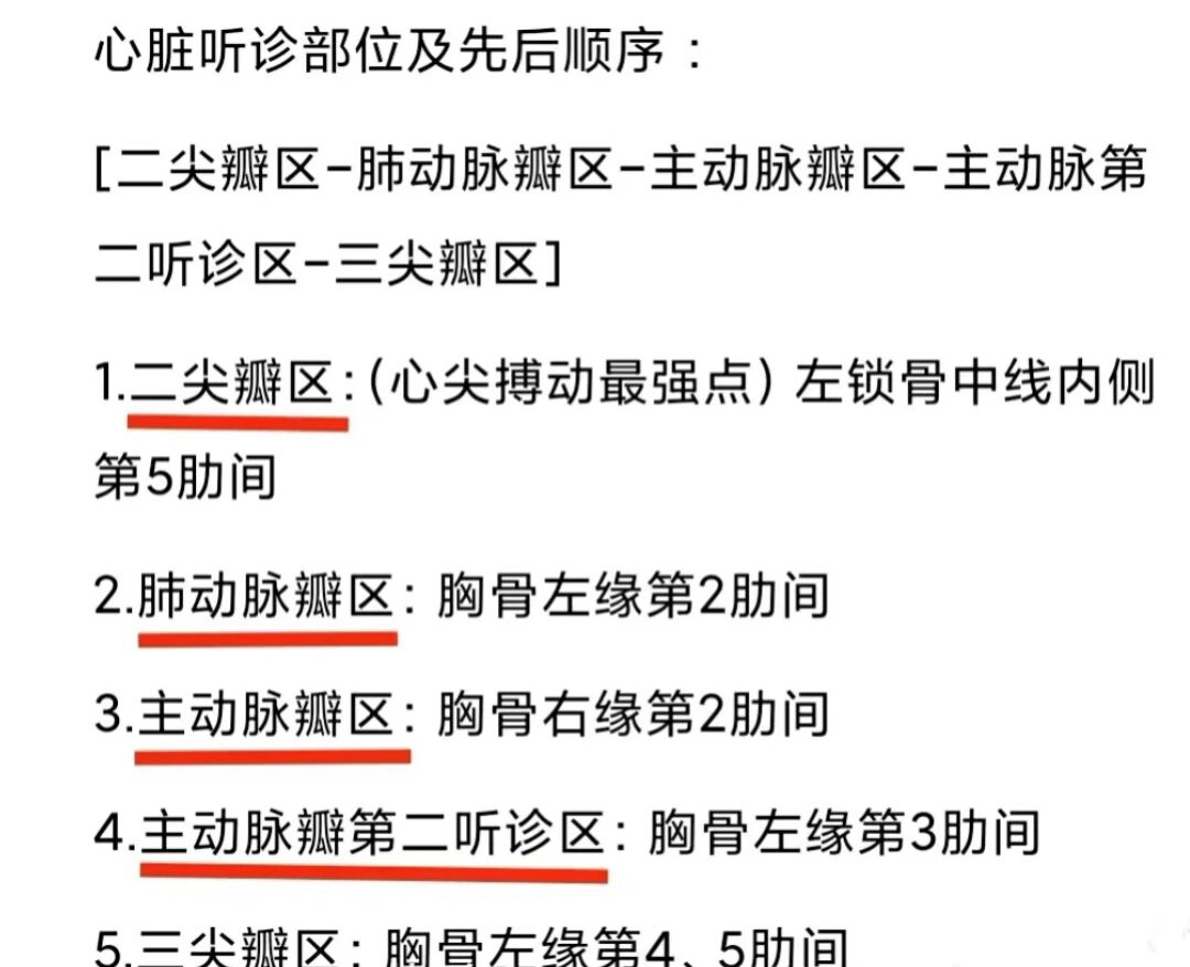 心脏听诊的内容