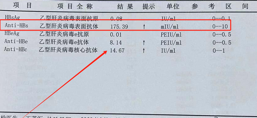乙肝表面抗体阳性正常吗