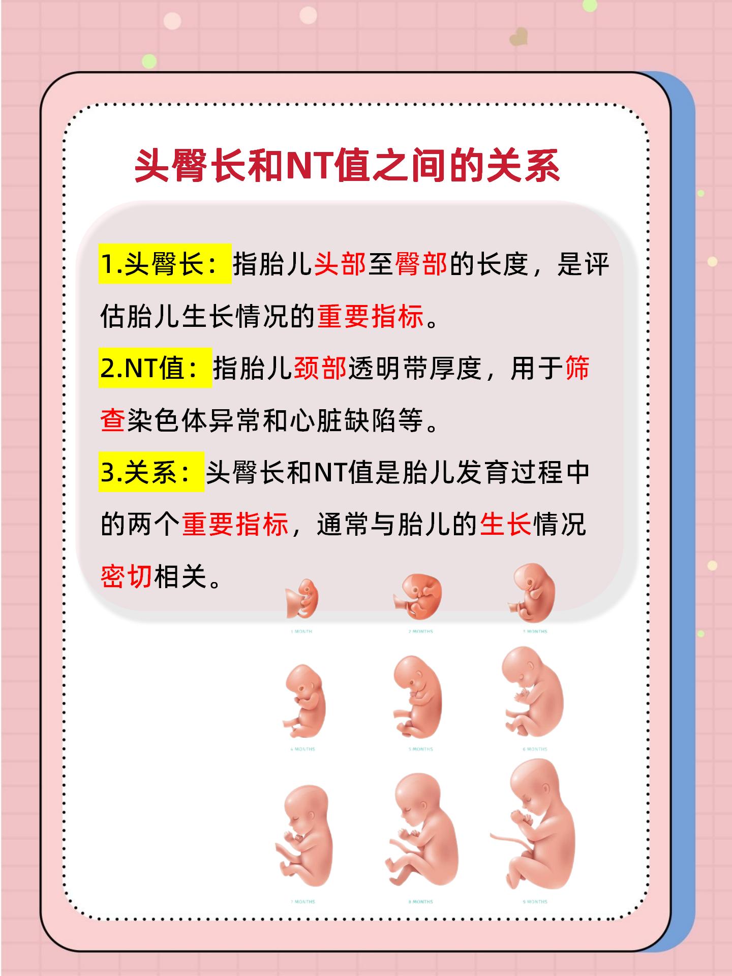 胎儿的NT值是什么意思?正常值是多少?