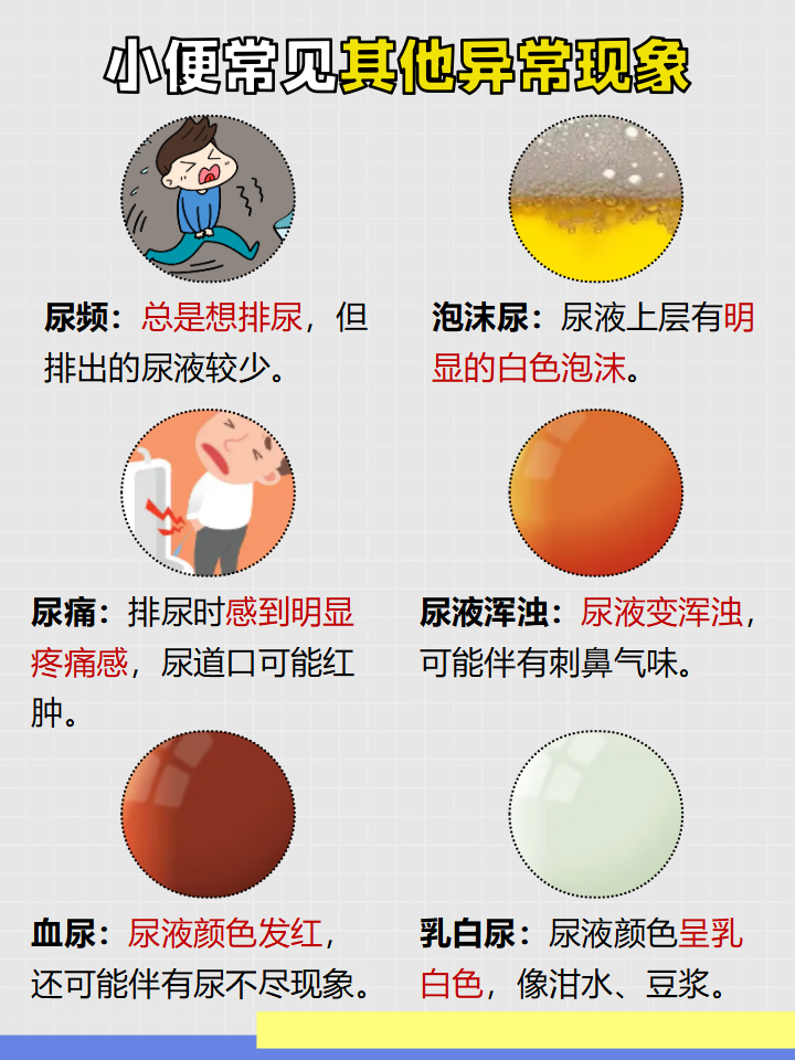 尿道炎和膀胱炎有什么区别