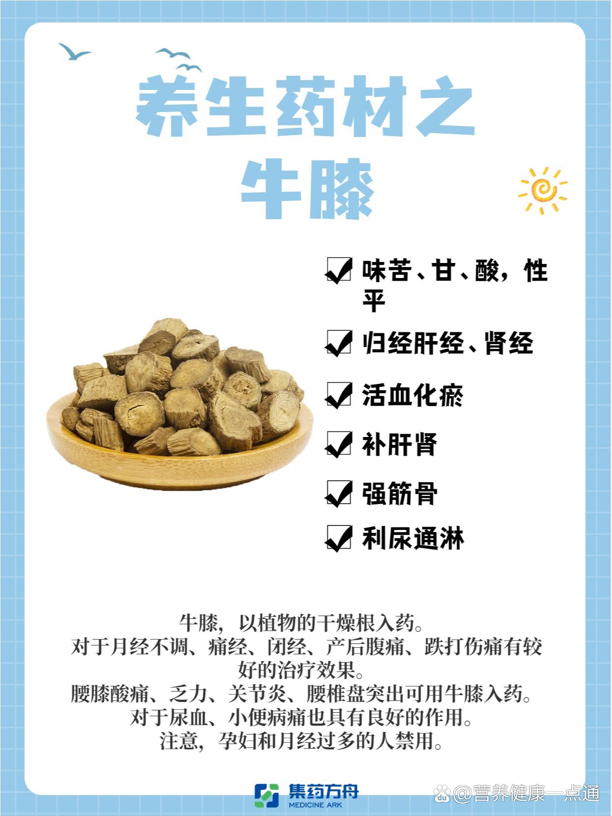 中药牛膝的功效与作用