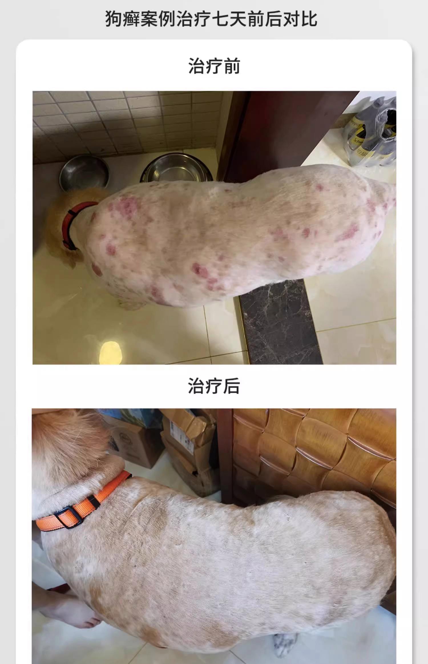 毛发苔藓怎么治