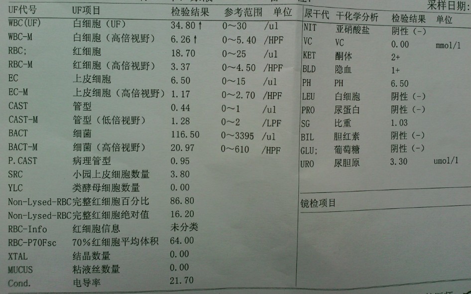 尿液中白细胞高是怎么回事