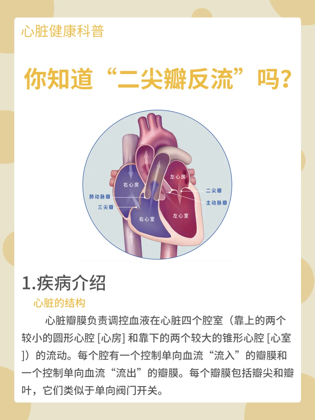 二尖瓣关闭不全严重吗