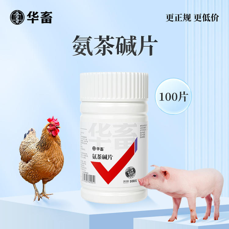 氨茶碱片的作用及功效