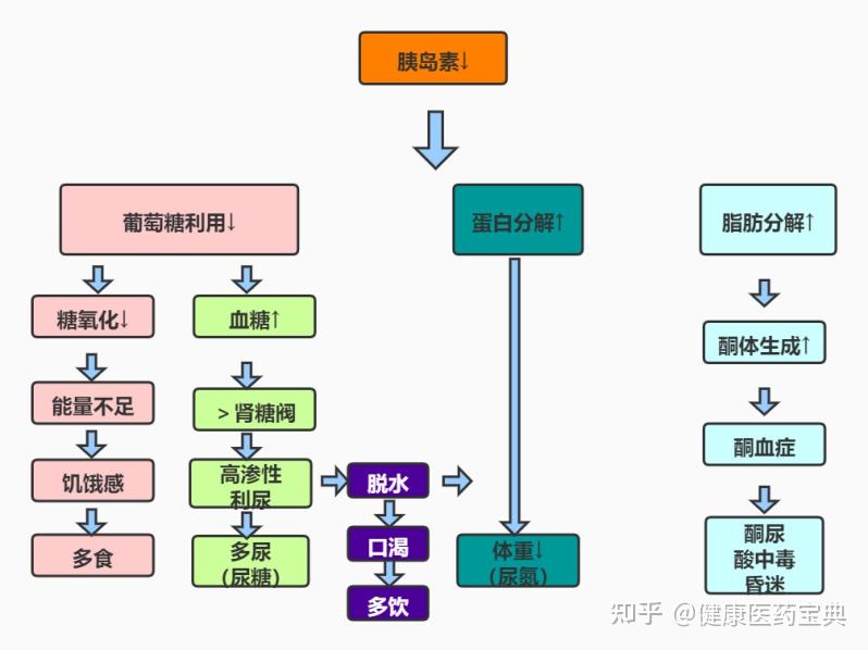 糖尿病三多一少是什么意思