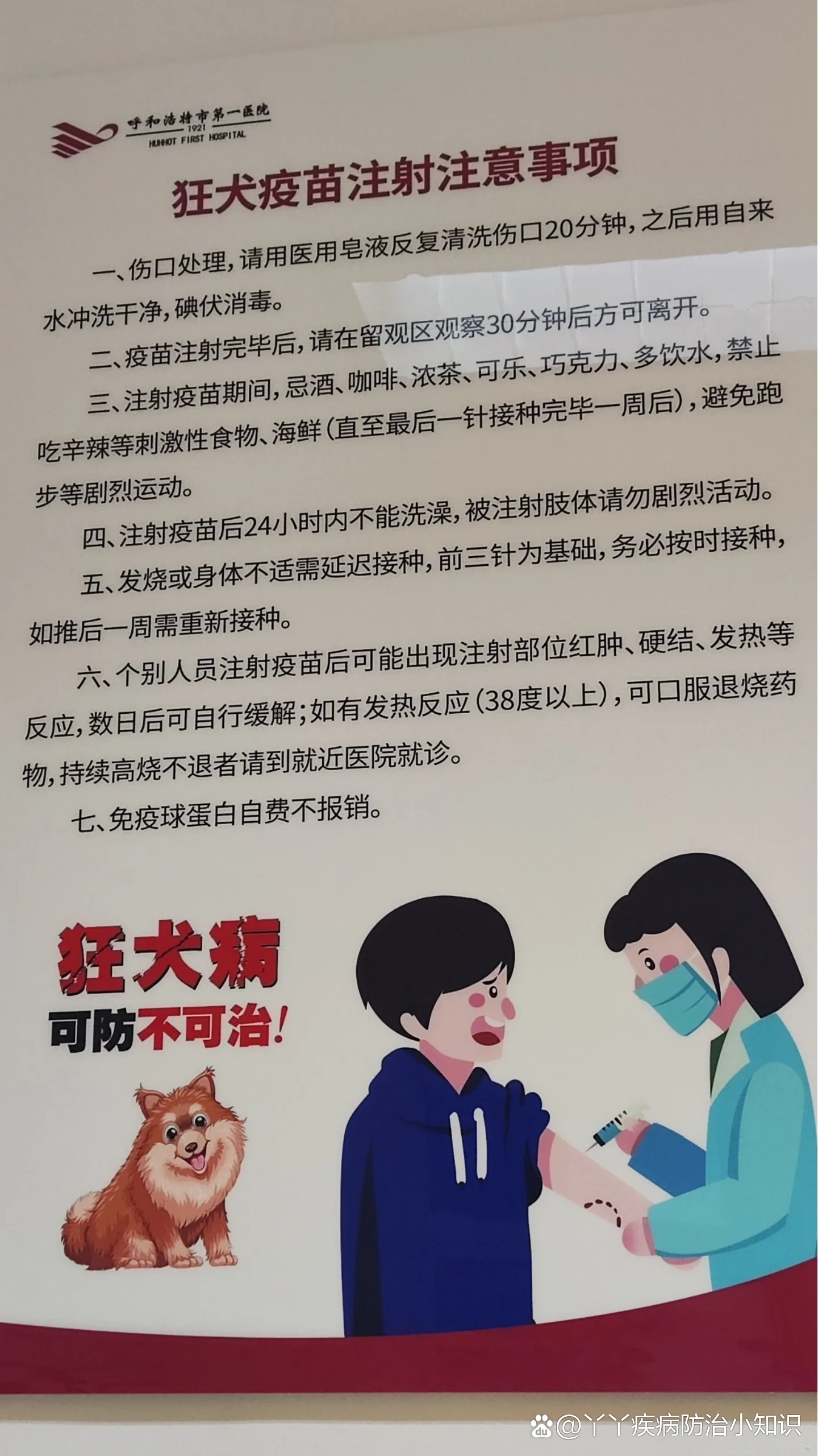 打狂犬疫苗不能吃什么东西?