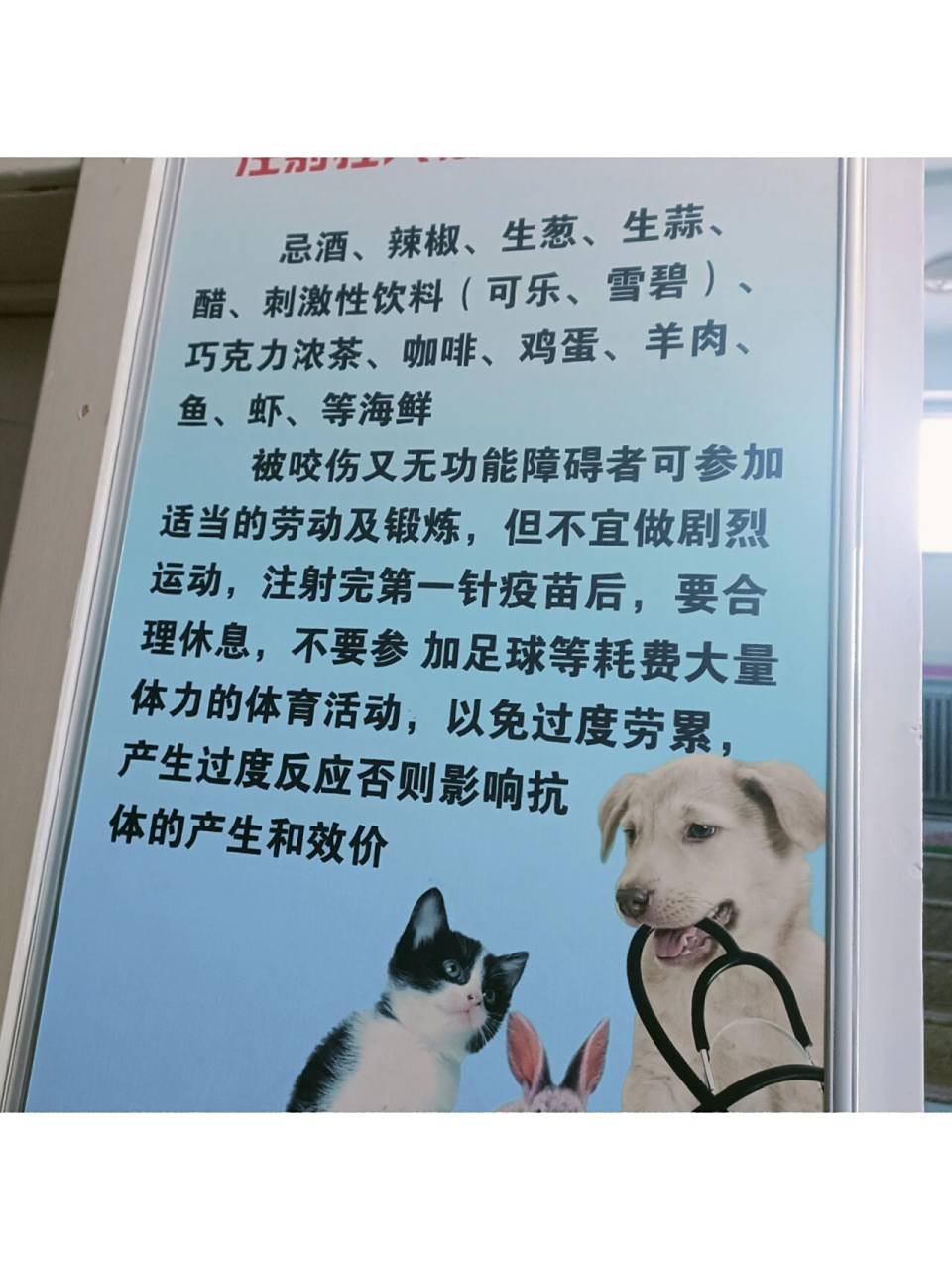 打狂犬疫苗不能吃什么东西?