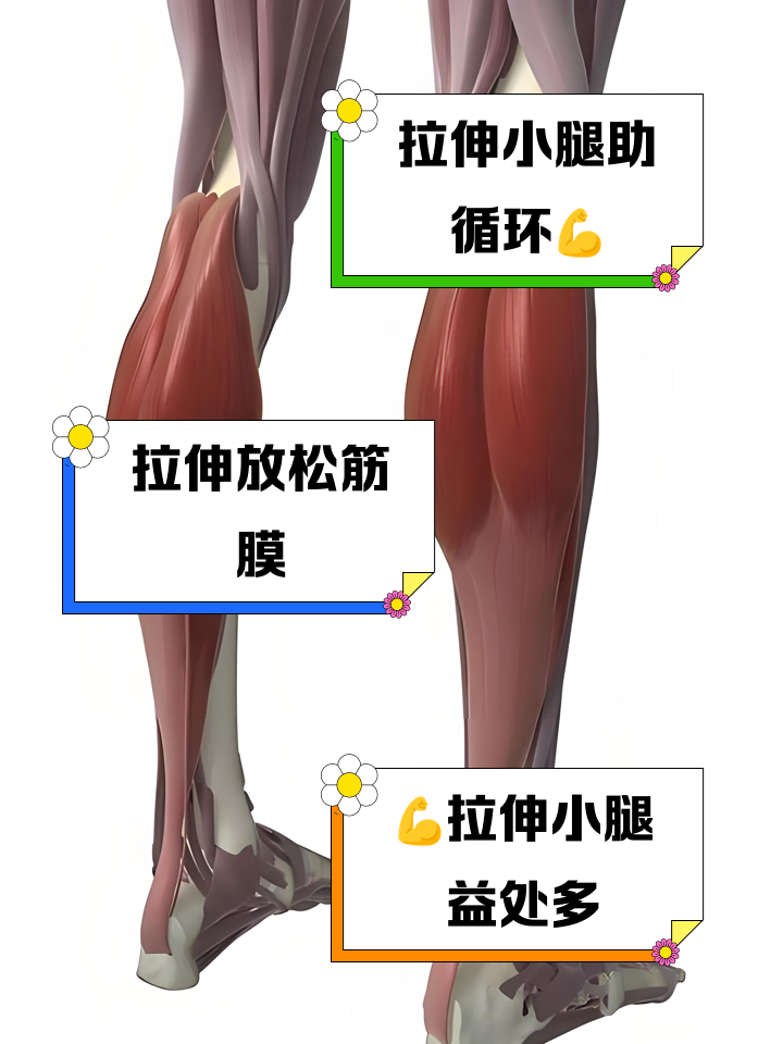 小腿肌肉拉伤怎么办?