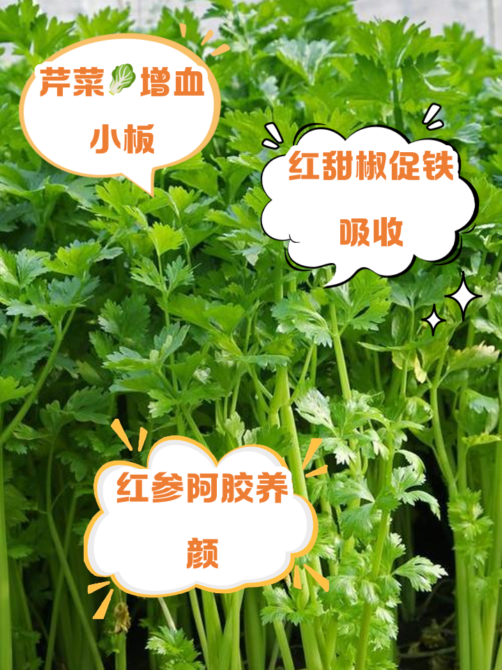 血小板少吃什么食物有帮助