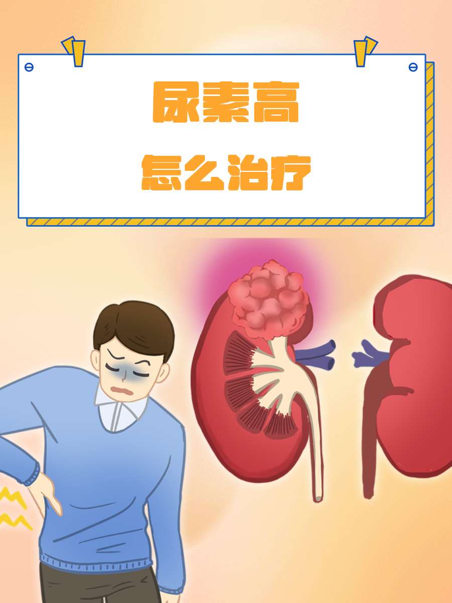 尿素氮低是什么原因引起的