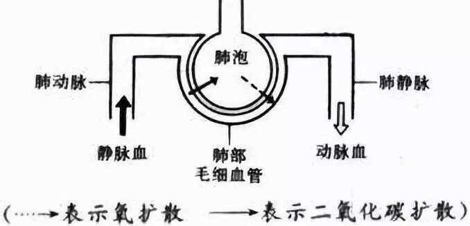 及千风 第2页
