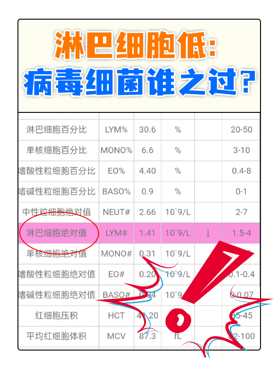 贺傲晴 第2页