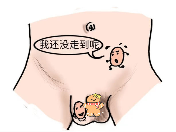 帮我看看孩子的睾丸正常吗