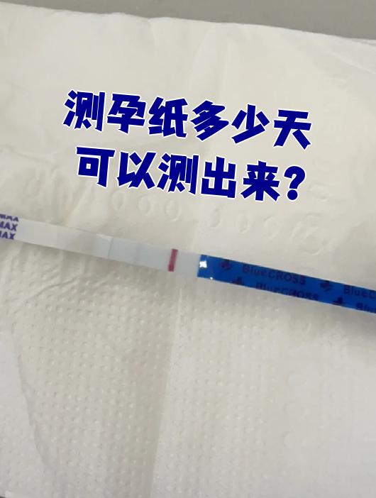 刚停经就测出来怀孕了