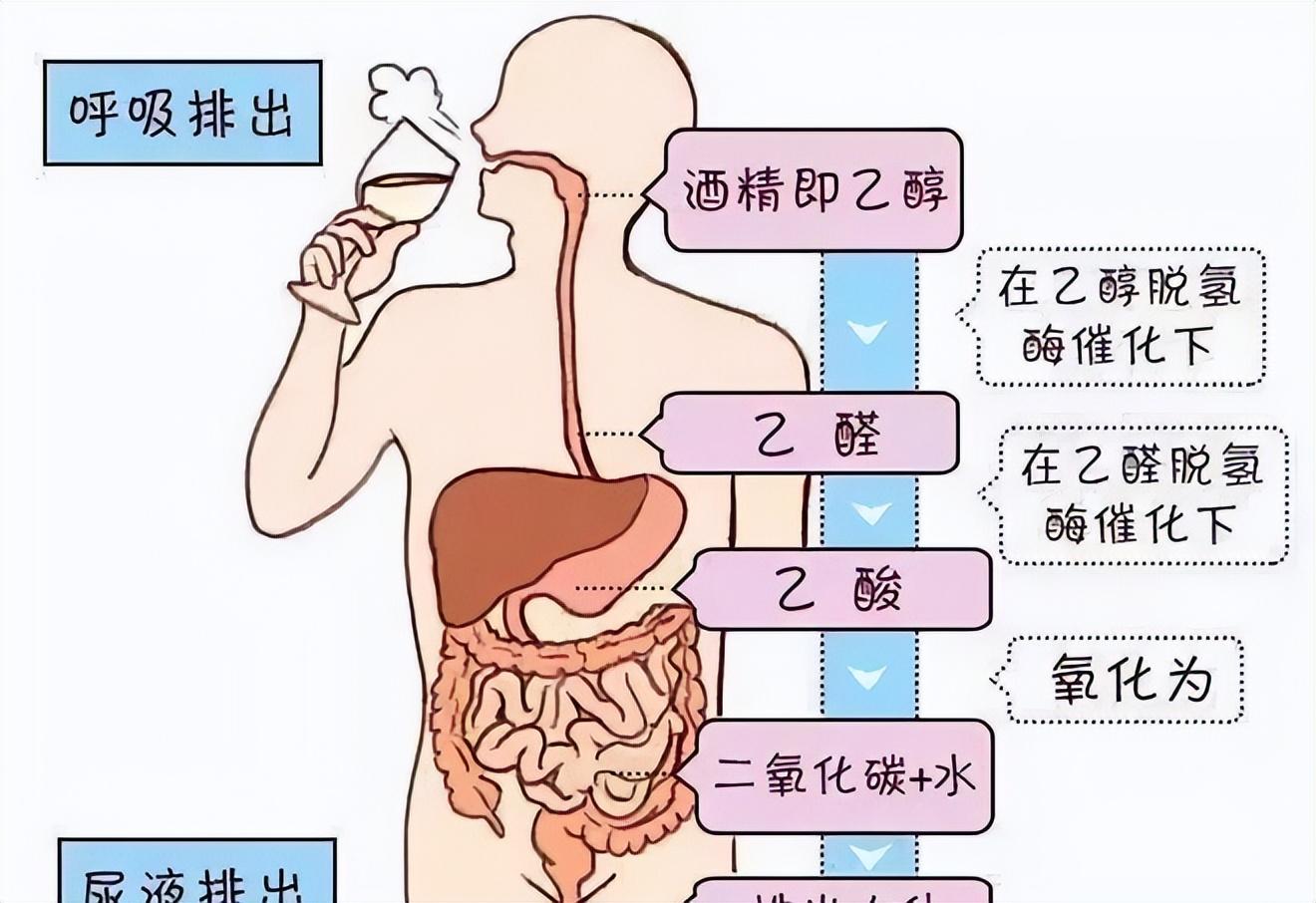高血压喝酒的危害