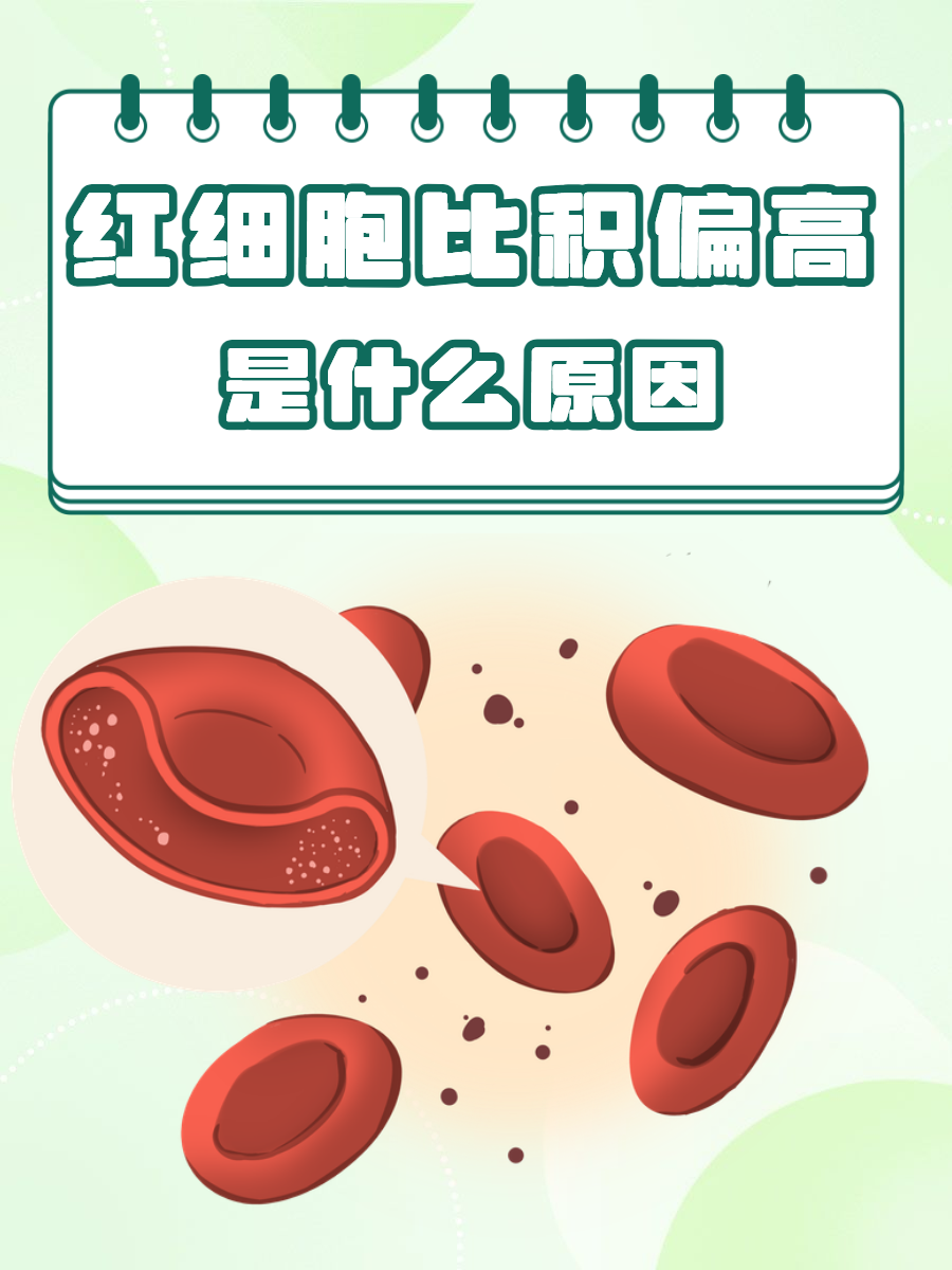 禚茜茜 第2页