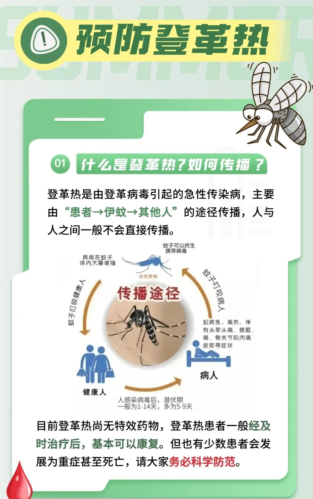 登革热的治疗方法有哪些
