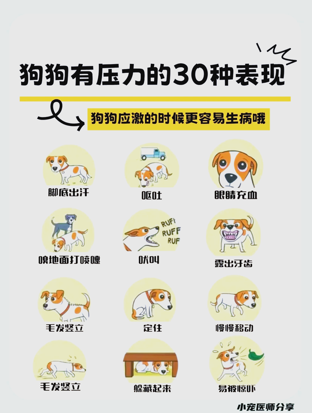 急性应激反应的症状