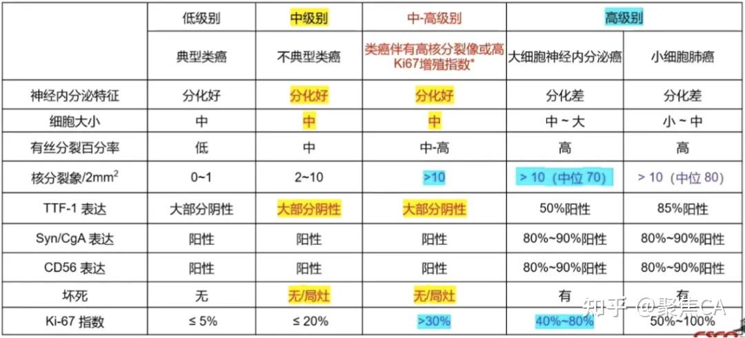 小细胞肺癌晚期存活率