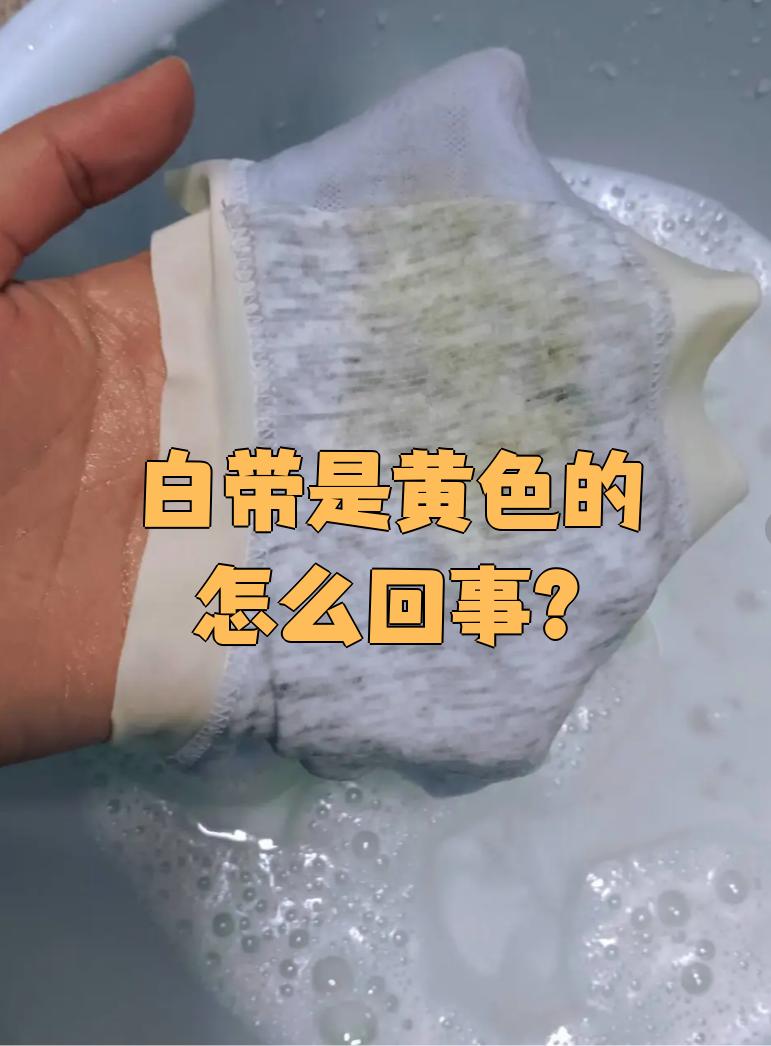 荆代巧 第2页