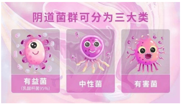 内裤上出现褐色分泌物,是怎么回事