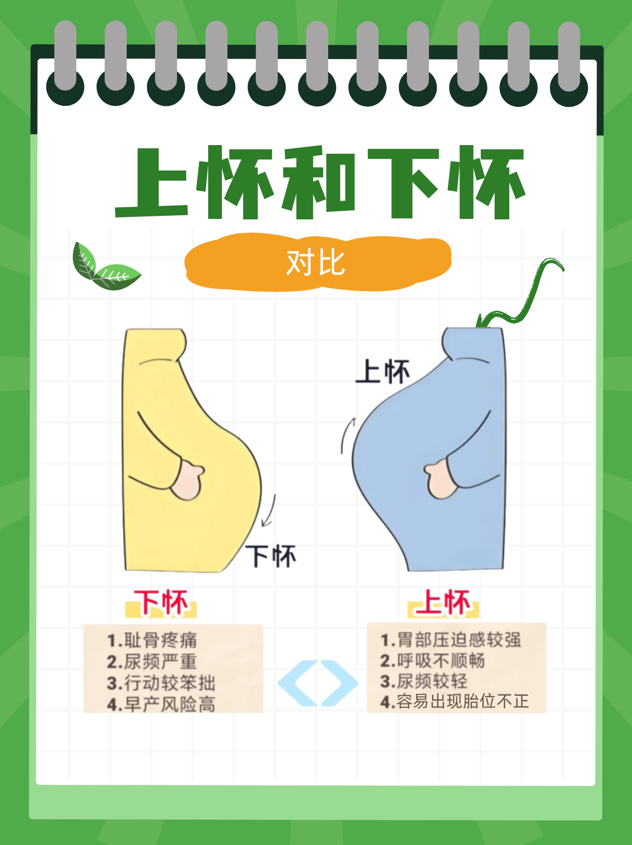 怀孕多久能看出肚子?