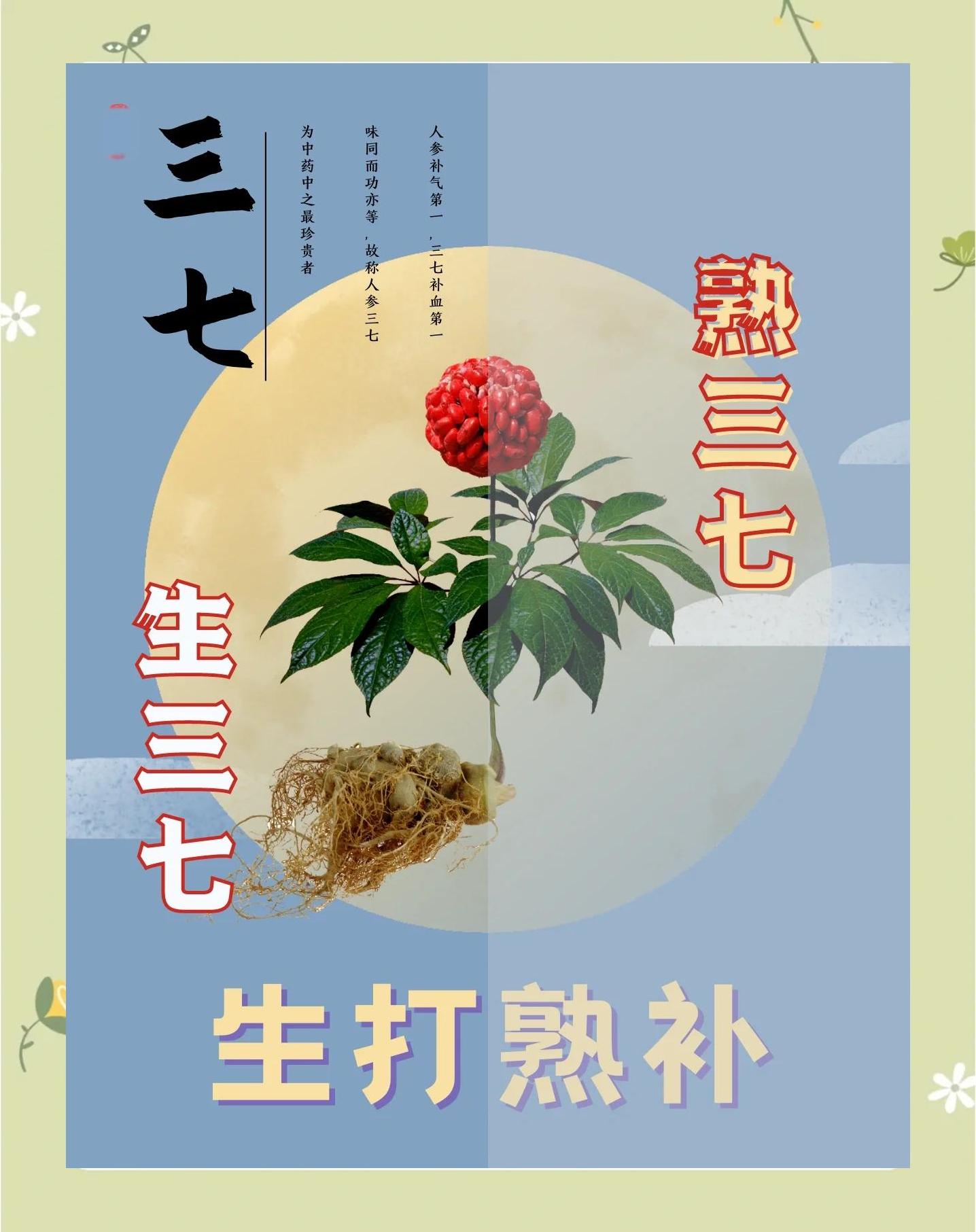 三七粉的美容功效?