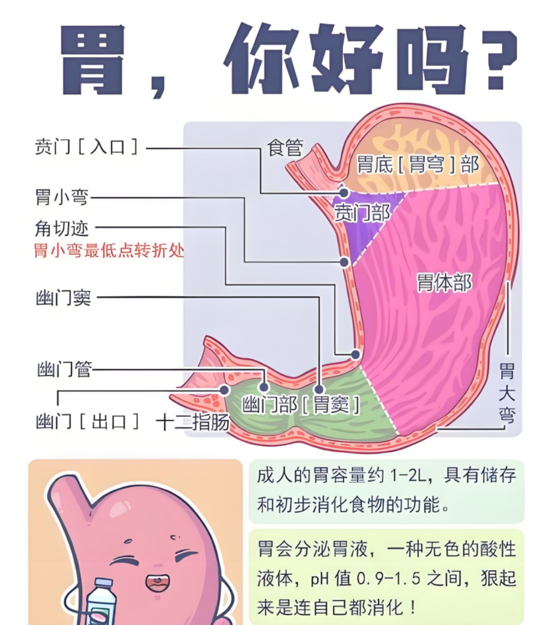 妫盼香 第2页