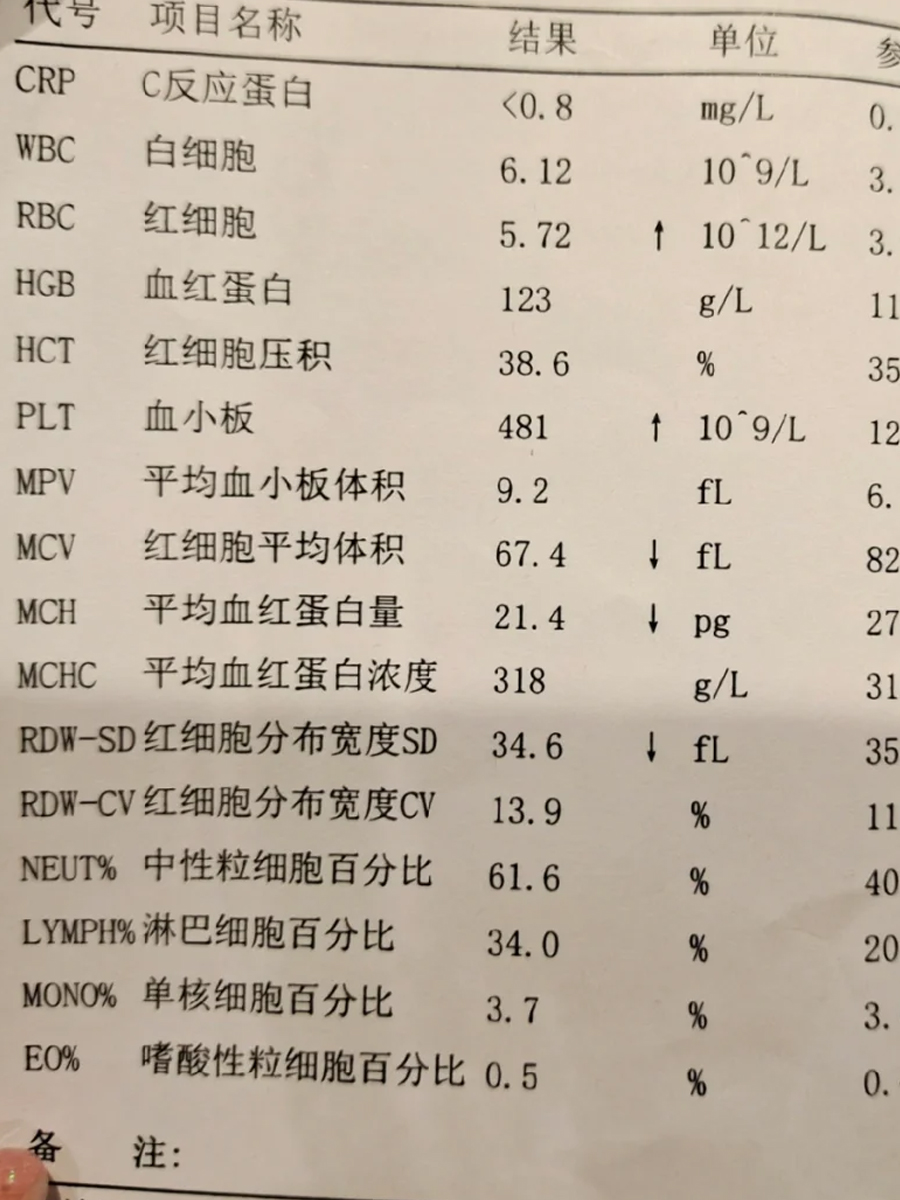系田田 第2页